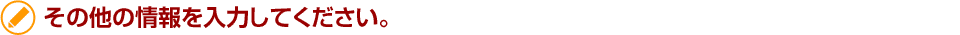 その他の情報を入力してください。